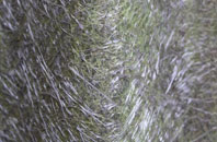 Upgate fibreglass roof work